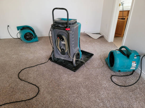 Best Sewage cleanup and water damage restoration  in Woodburn, IN