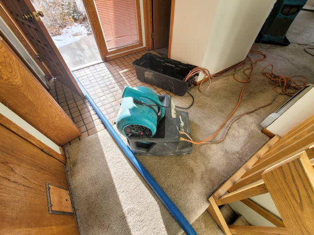 Best Water damage restoration near me  in Woodburn, IN