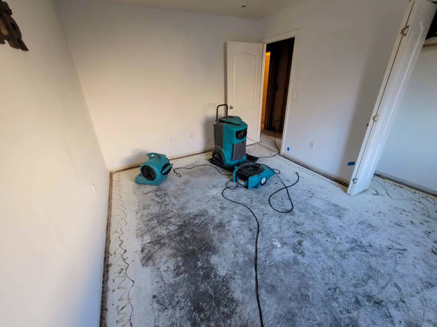 Best 24-hour water damage restoration  in Woodburn, IN