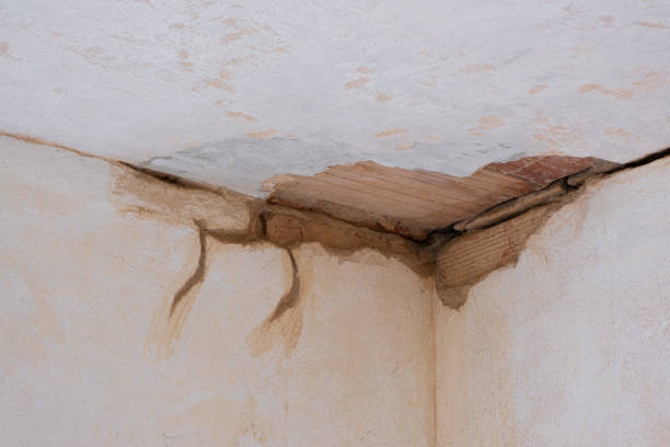 Best Water damage cleanup near me  in Woodburn, IN